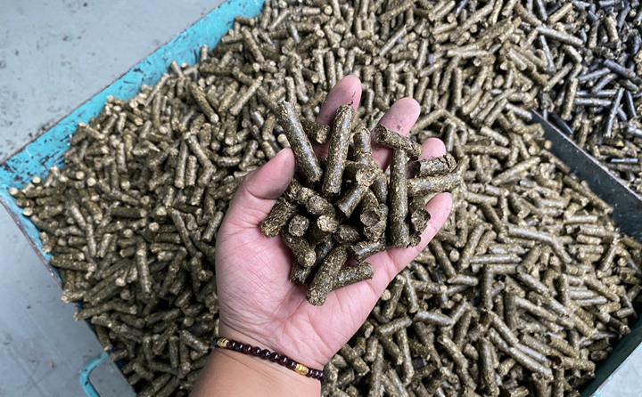 木屑制粒機生物顆粒真正實現(xiàn)燃料變廢為寶