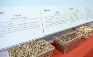 甘肅省靜寧縣仁大鎮(zhèn)生物質(zhì)廢棄物綜合利用項目建成投產(chǎn)